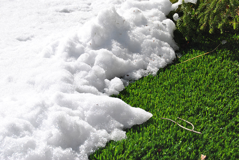 mantenimiento del césped artificial en invierno